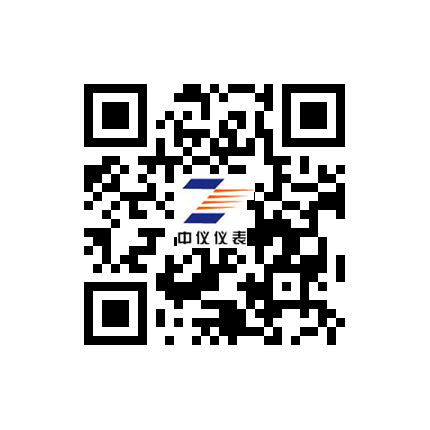 江蘇99亚洲日韩国产精品无玛儀表集團有限公司